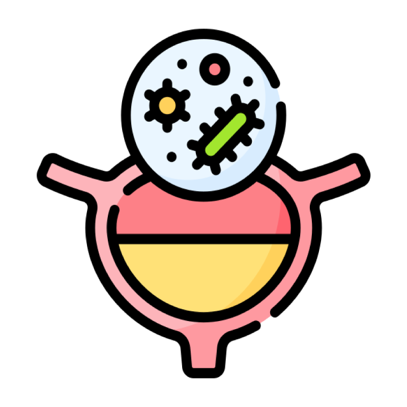 إلتهابات المسالك البولية عند الأطفال