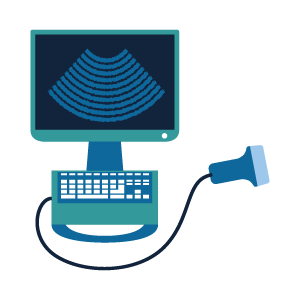 echographie echographie