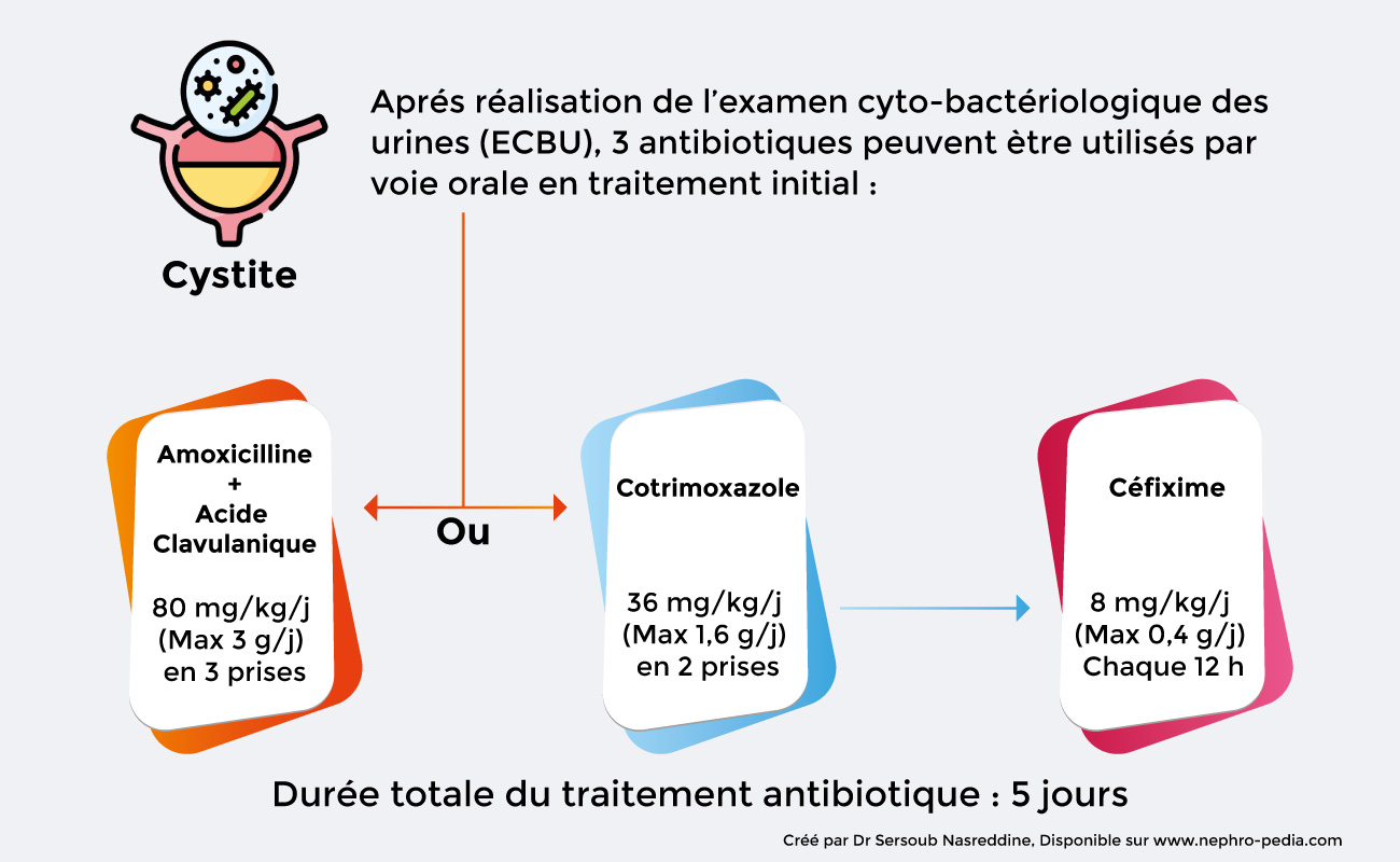 traitement-des-cystites